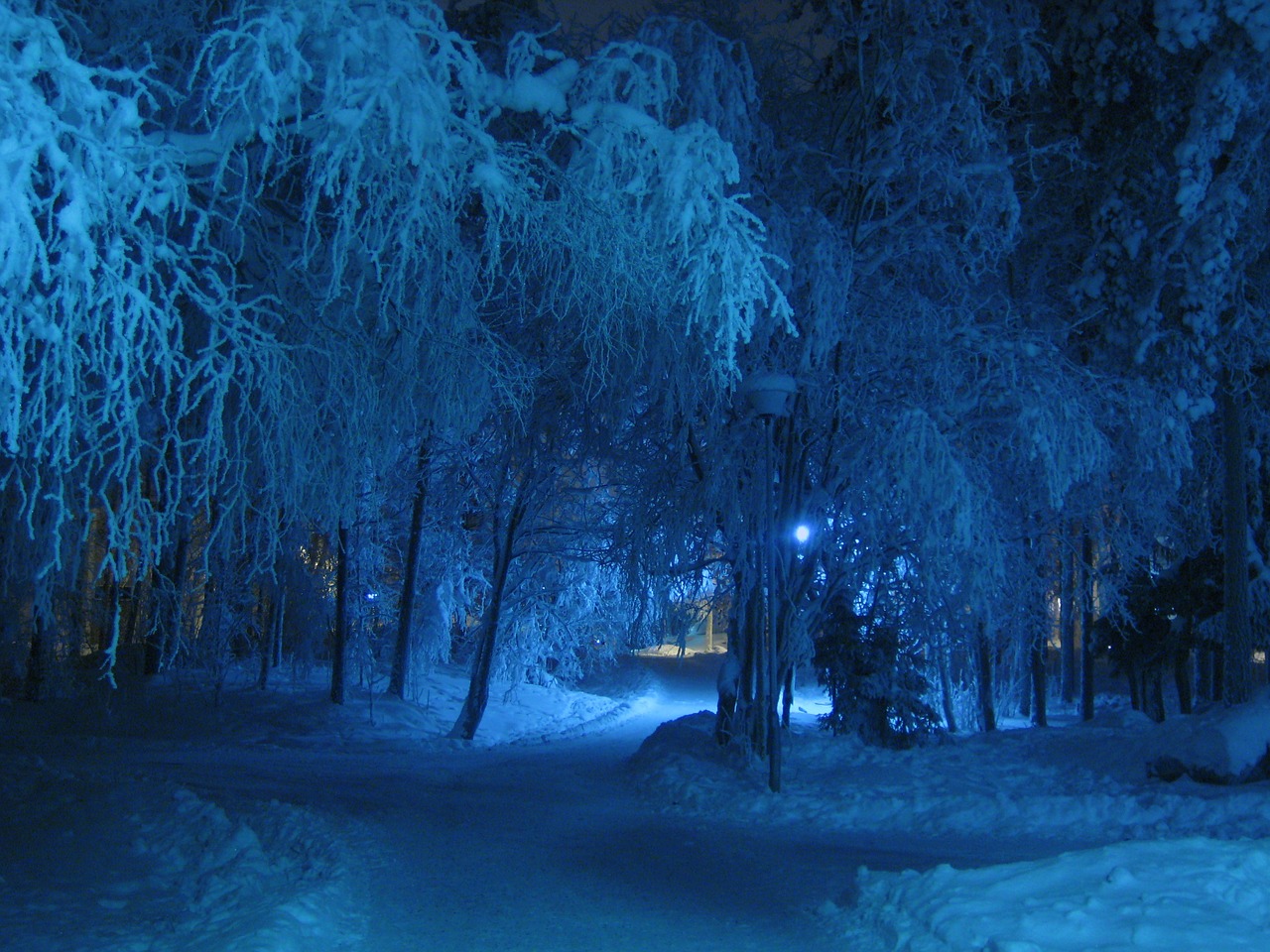 winter-69926_1280.jpg