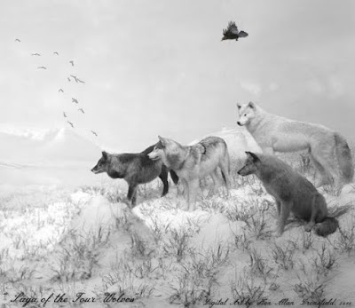 IVJ Dronsfield Wolves Feb 2016 IVJ Dronsfield Wolves Feb 2016
