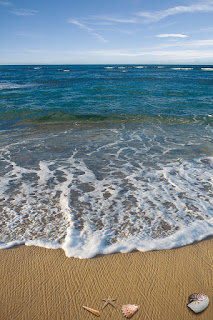 Sea Image Sea Image