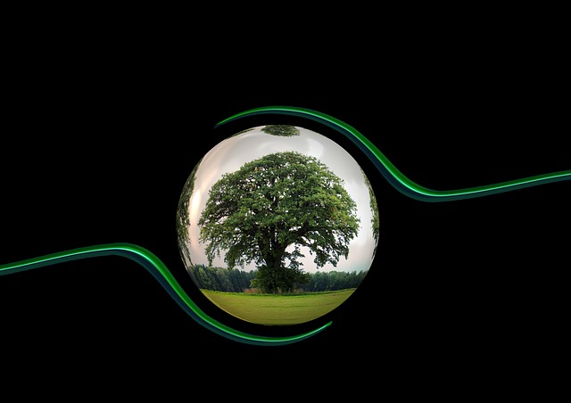 ecology-450591_640.jpg
